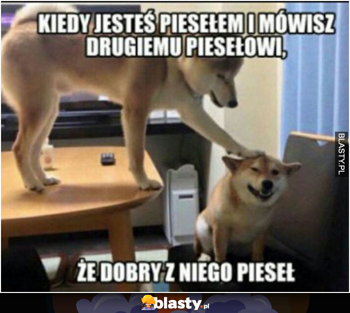 Dobry pieseł