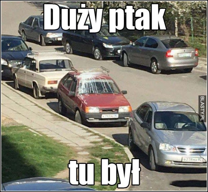 Duży ptak tu był