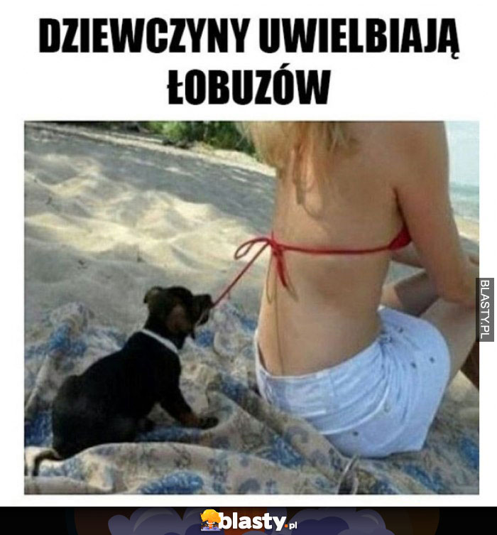 Dziewczyny uwielbiają łobuzów