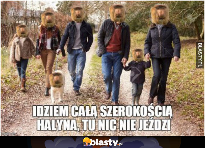 Idziem całą szerokością