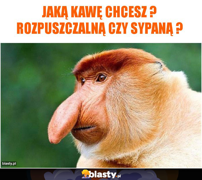 Jaką kawę chcesz ? rozpuszczalną czy sypaną ?