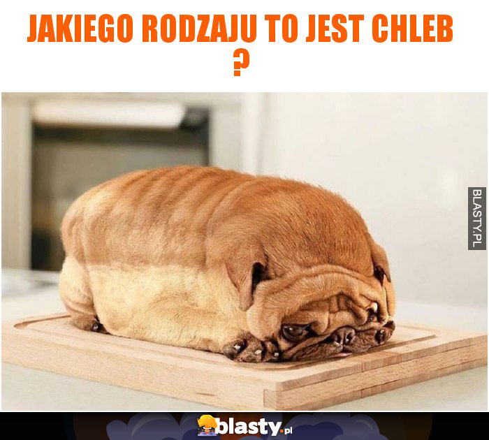 Jakiego rodzaju to jest chleb ?