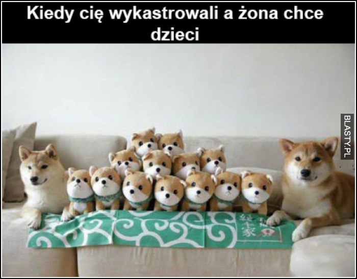 Kiedy cię wykastrowali, a żona chce dzieci