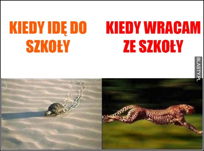 Kiedy idę do szkoły vs kiedy wracam ze szkoły