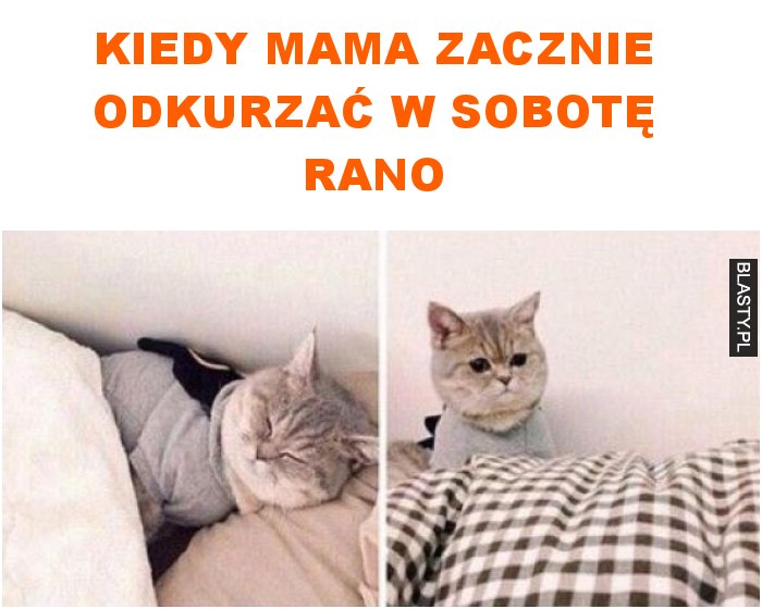 Kiedy mama zacznie odkurzać w sobotę rano