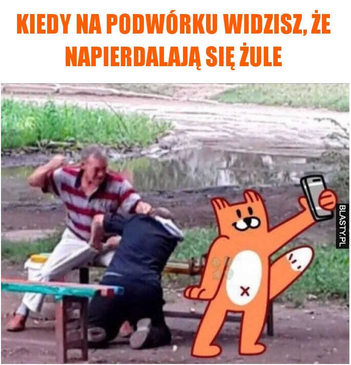 Kiedy na podwórku widzisz, że napierdalają się żule