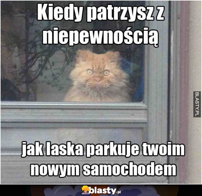 Kiedy patrzysz z niepewnością jak laska parkuje twoim nowym samochodem