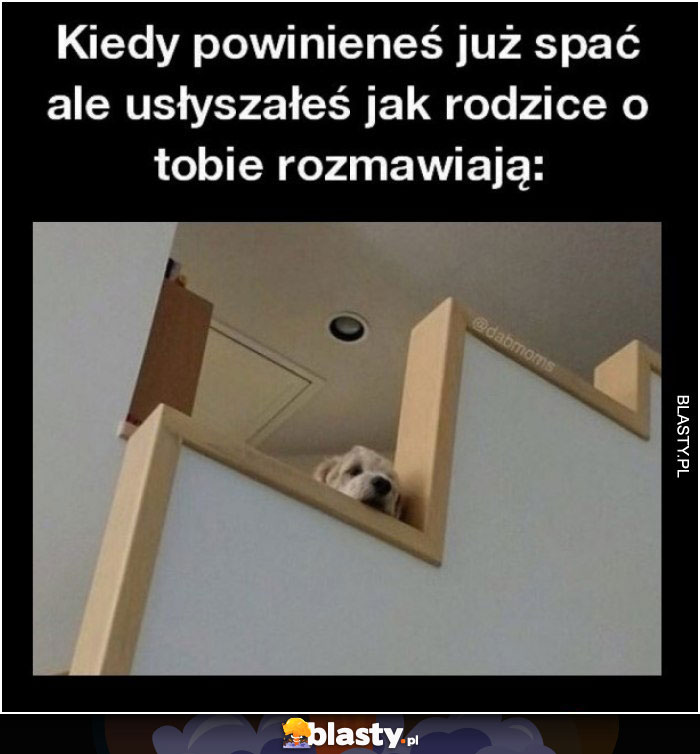 Kiedy powinieneś już spać ale usłyszysz