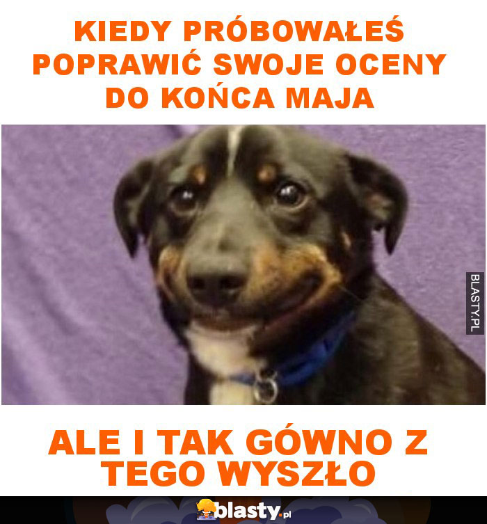 Kiedy próbowałeś poprawić swoje oceny do końca maja