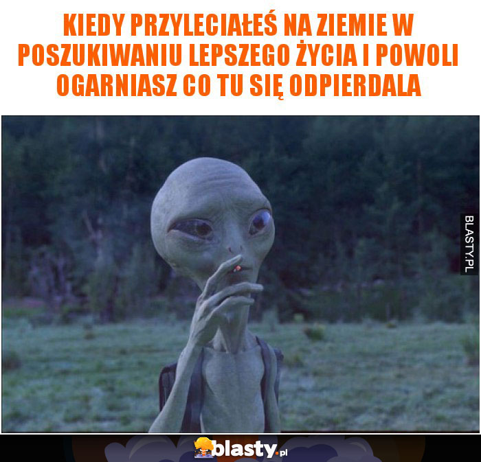 Kiedy przyleciałeś na ziemie w poszukiwaniu lepszego życia