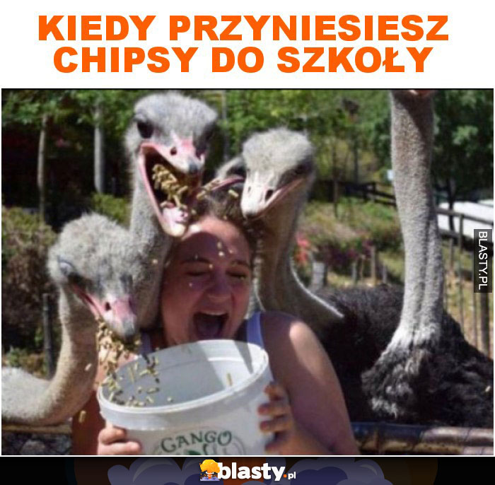 Kiedy przyniesiesz chipsy do szkoły