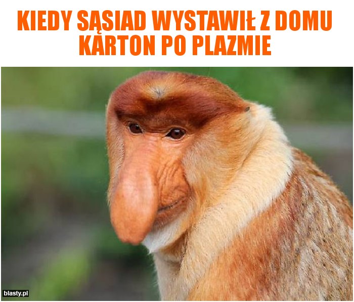 Kiedy sąsiad wystawił z domu karton po plazmie