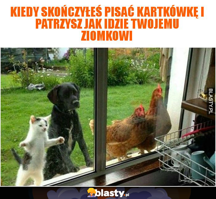 Kiedy skończyłeś pisać kartkówkę i patrzysz jak idzie Twojemu ziomkowi