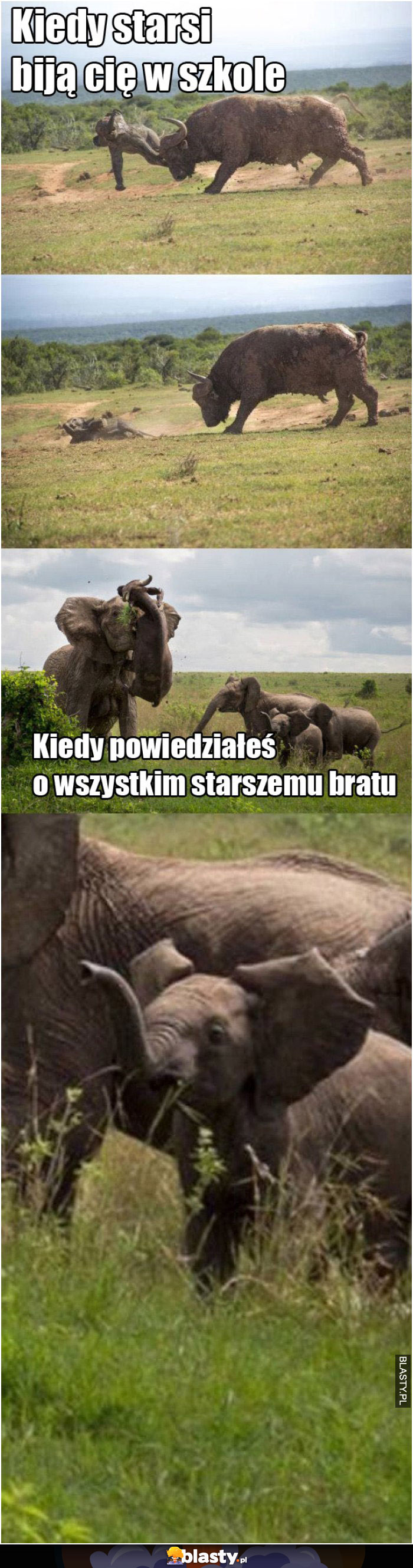 Kiedy starsi bija cię w szkole