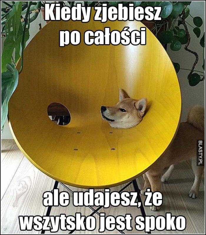 Kiedy zjebiesz po całości, ale udajesz, że wszystko jest spoko