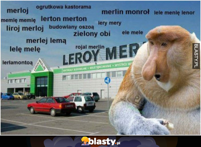 Leroy merlin