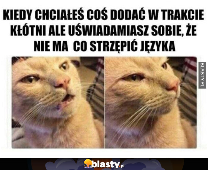 Nie ma co strzępić ryja