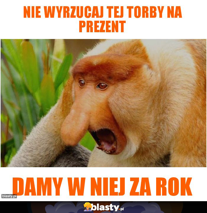 Nie wyrzucaj tej torby na prezent damy w niej za rok