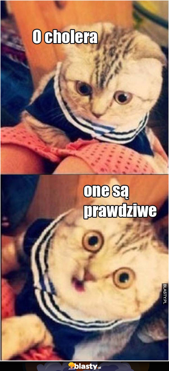 O cholera, one są prawdziwe