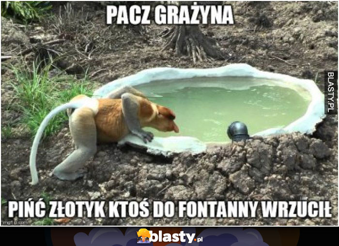 Pacz grażyna pięć złotych ktoś do fontanny wrzucił