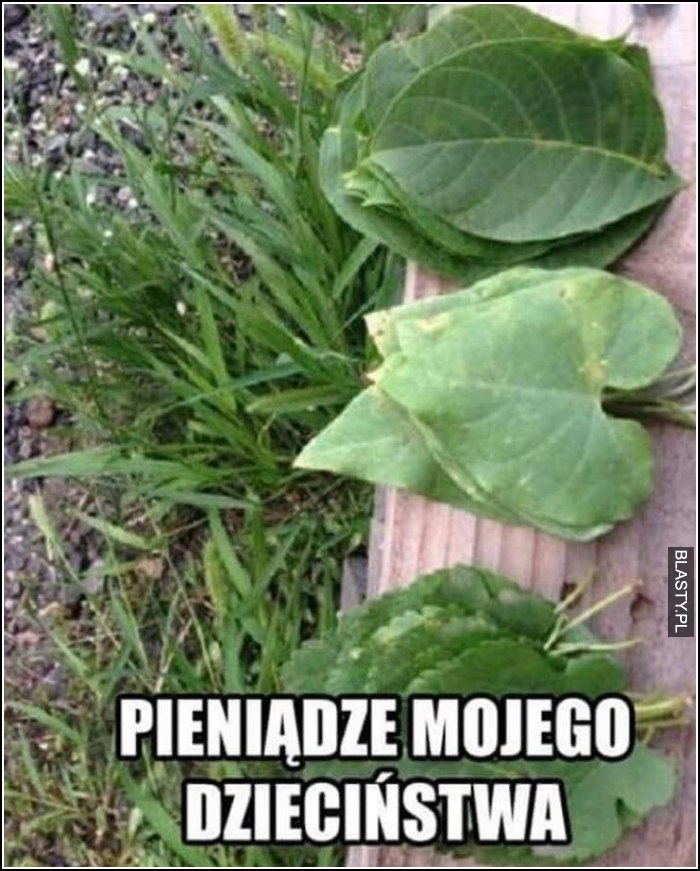 Pieniądze mojego dzieciństwa