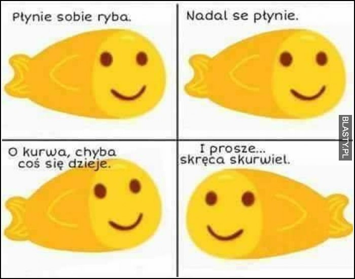 Płynie sobie rybka