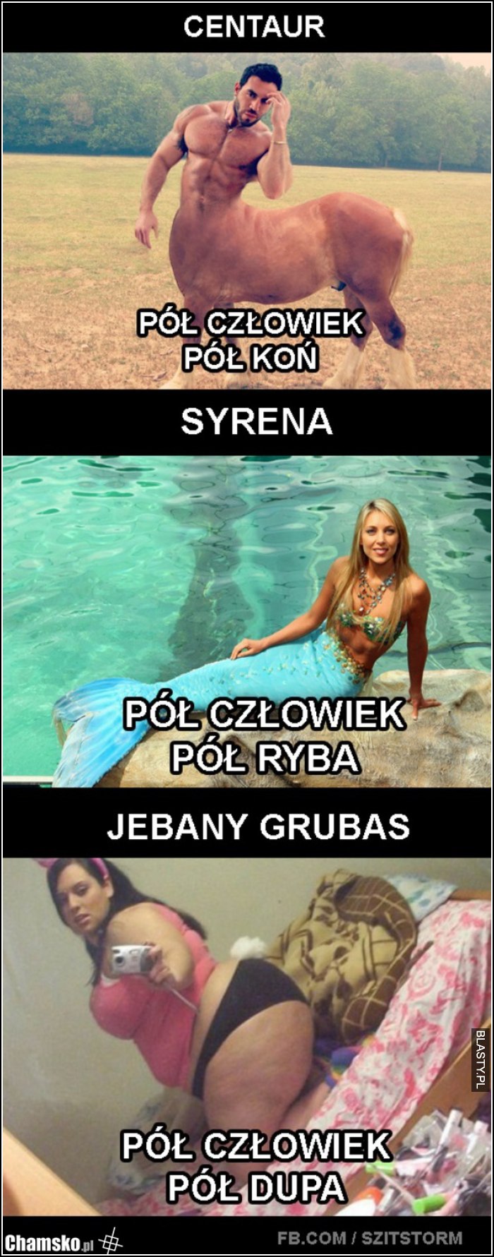 Pół człowiek pół ryba