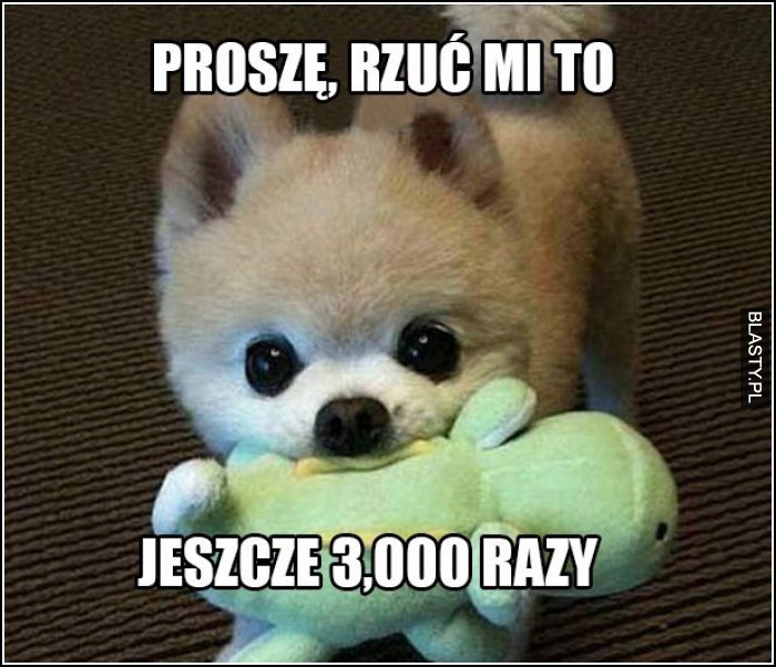 Proszę rzuć mi to jeszcze 3000 razy