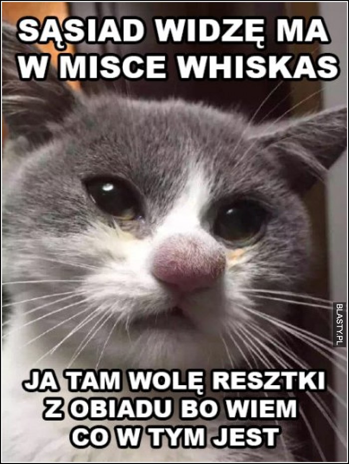 Sąsiad widzę ma w misce whiskas