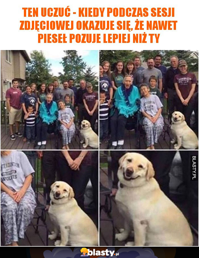 Ten uczuć - kiedy okazuje się, że nawet pies pozuje lepiej niż Ty