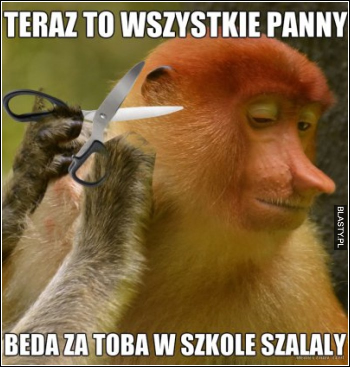 Teraz to wszystkie panny będą w szkole za tobą szalały