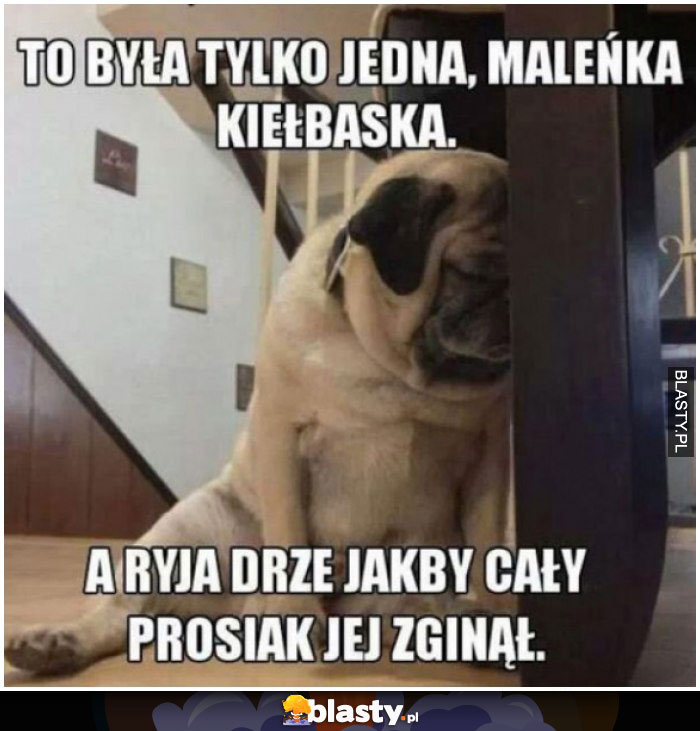 To była tylko jedna maleńka kiełbasa