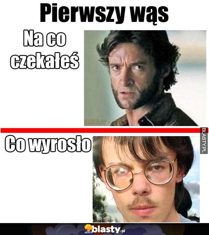 Wąs mi się sypnął