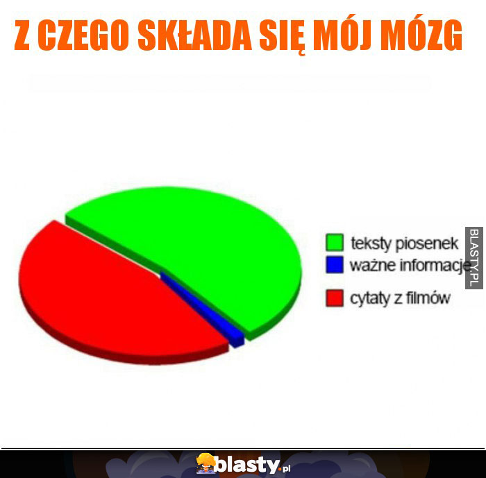 Z czego składa się mój mózg