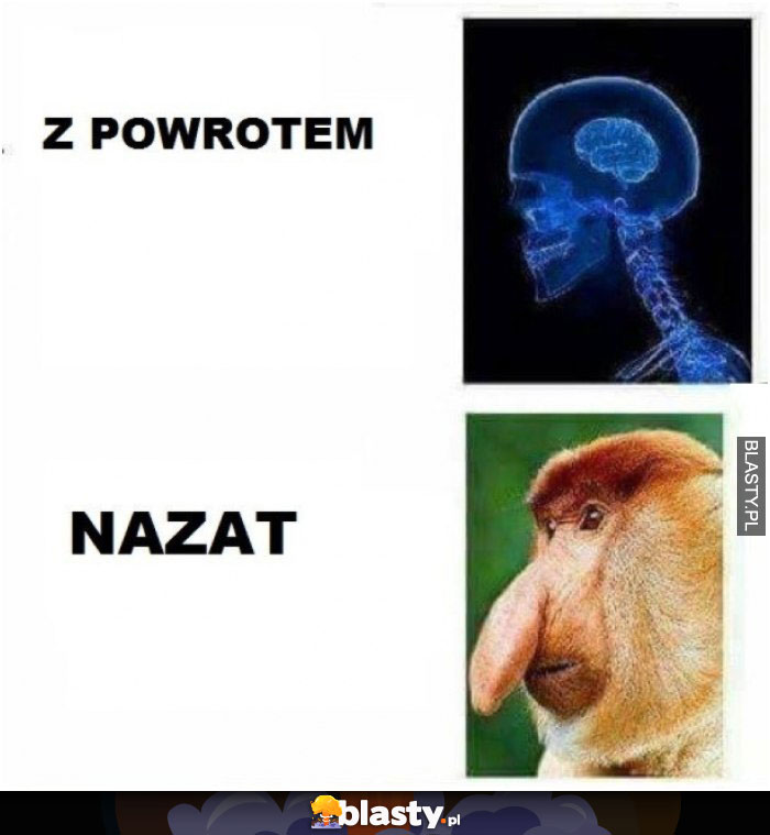 Z powrotem nazat