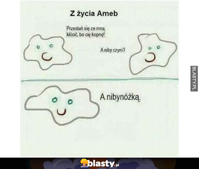 Z życia ameb