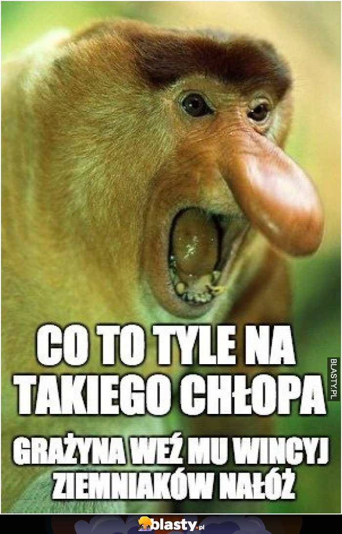 Co to tyle na takiego chłopa