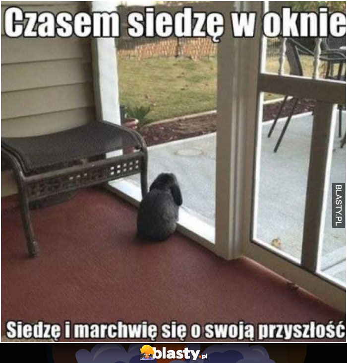 Czasem siedzę w oknie