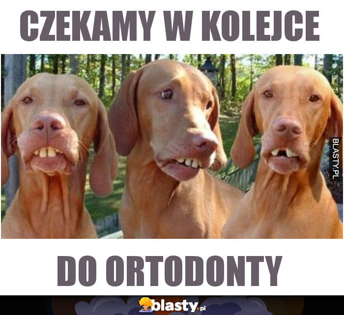 czekamy w kolejce