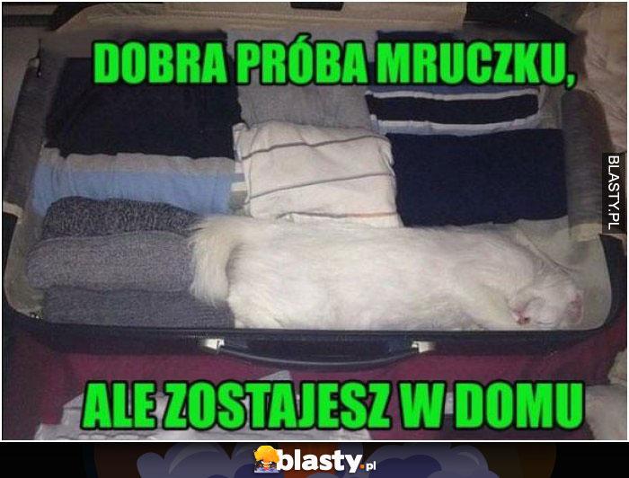 Dobra próba mruczku