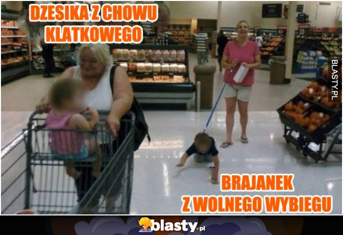 Dżesika z chowu klatkowego vs brajanek z wolnego wybiegu