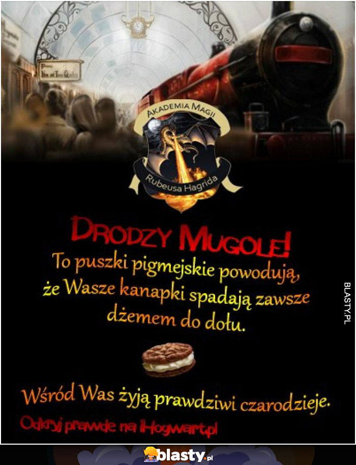ihogwart.pl