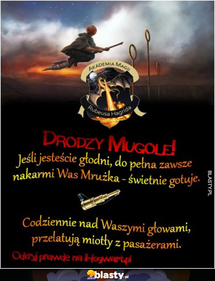 ihogwart.pl