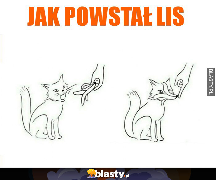 Jak powstał lis