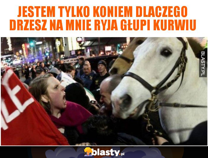 Jestem tylko koniem dlaczego drzesz na mnie ryja głupi kurwiu