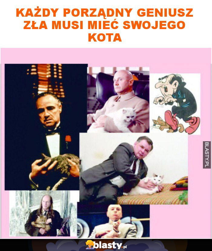 Każdy porządny geniusz zła musi mieć swojego kota