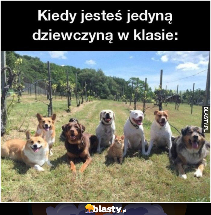 Kiedy jesteś jedyną dziewczyną w klasie