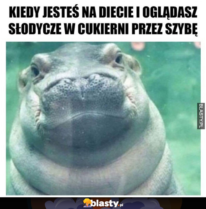 Kiedy jesteś na diecie i oglądasz słodycze