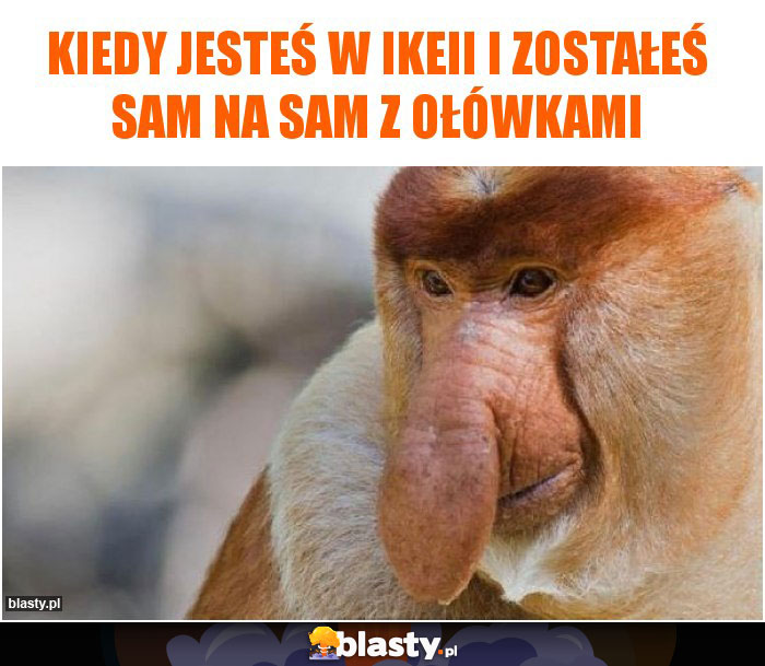 Kiedy jesteś w ikeii i zostałeś sam na sam z ołówkami