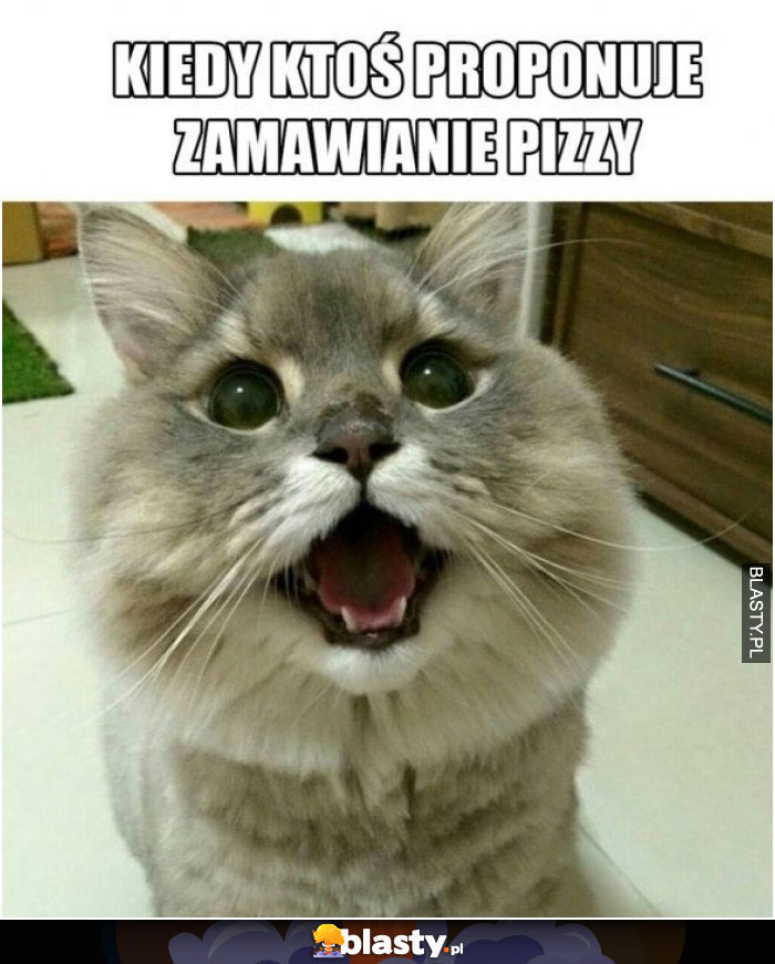 Kiedy ktoś proponuje zamawianie pizzy